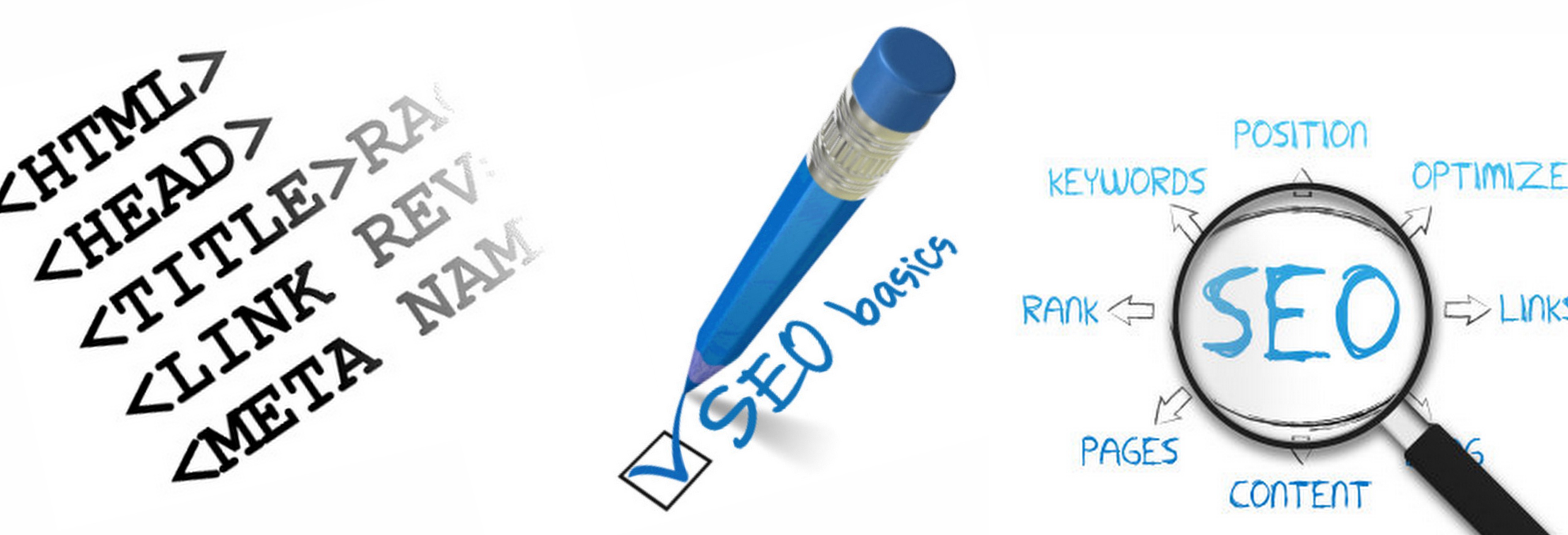 5 SEO Skills Every SEO Professional Needs to Know